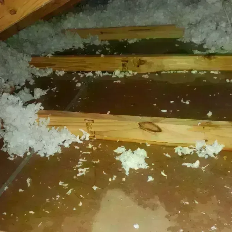 Attic Water Damage in Ellerbe, NC