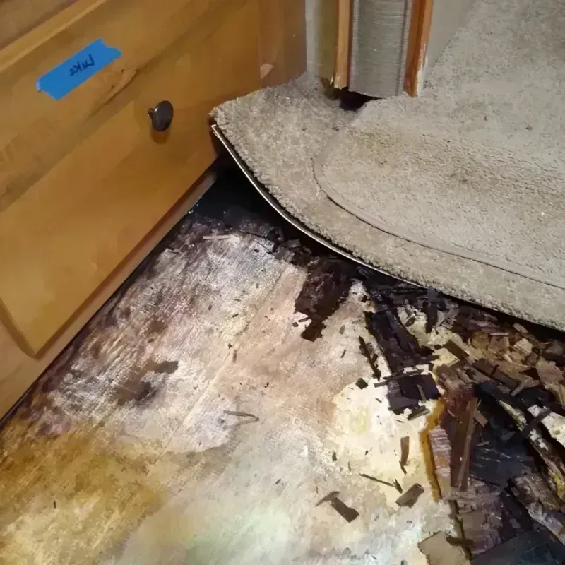 Wood Floor Water Damage in Ellerbe, NC